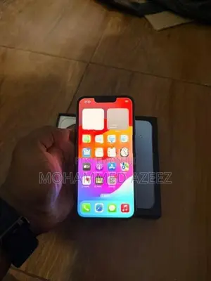 Apple iPhone 13 Pro 256GB (Used)