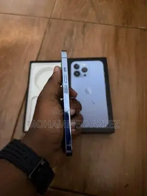 Apple iPhone 13 Pro 256GB (Used)