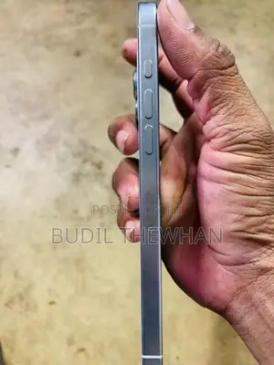 Apple iPhone 16 Pro Max (Used)