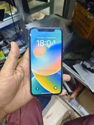 Apple iPhone X 256GB (Used)