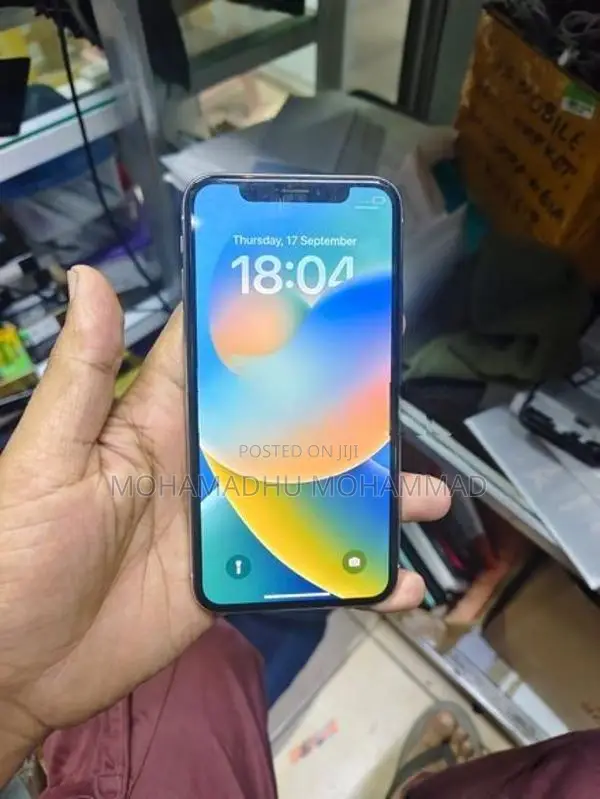 Apple iPhone X 256GB (Used)