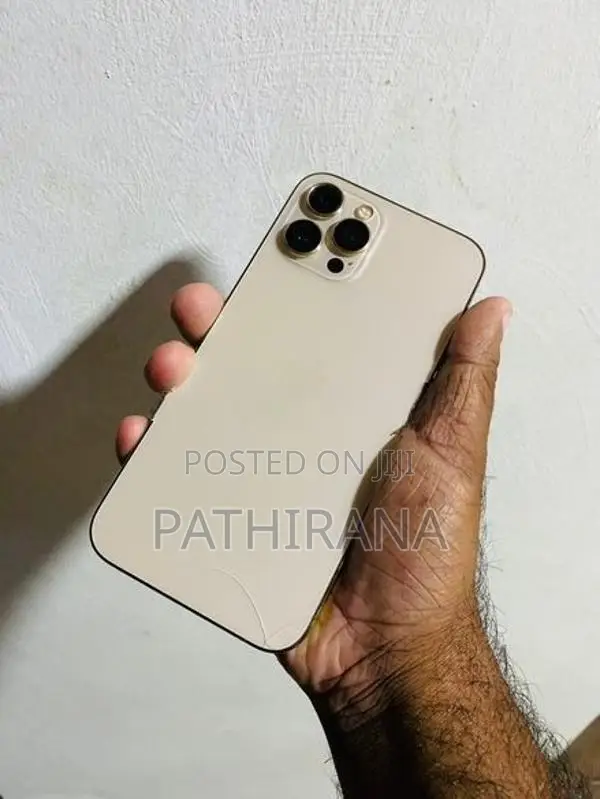 Apple iPhone 12 Pro Max (Used)
