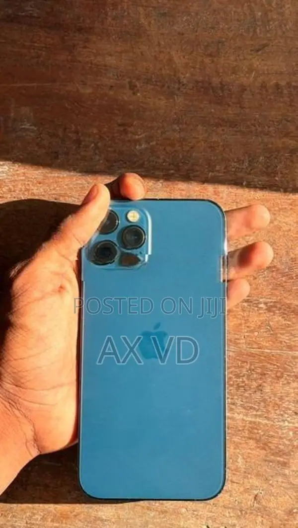 Apple iPhone 12 Pro (Used)