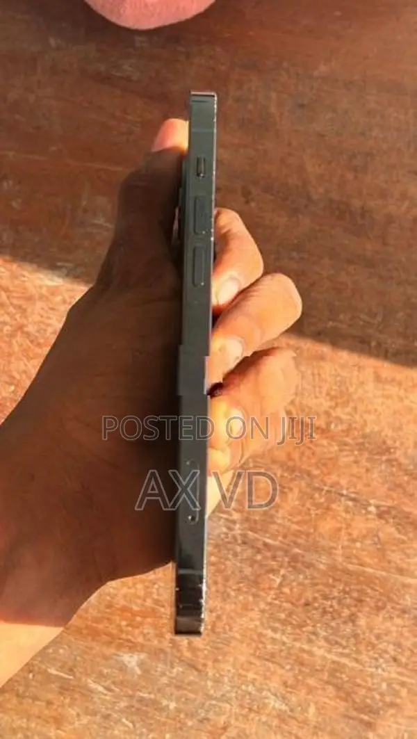 Apple iPhone 12 Pro (Used)