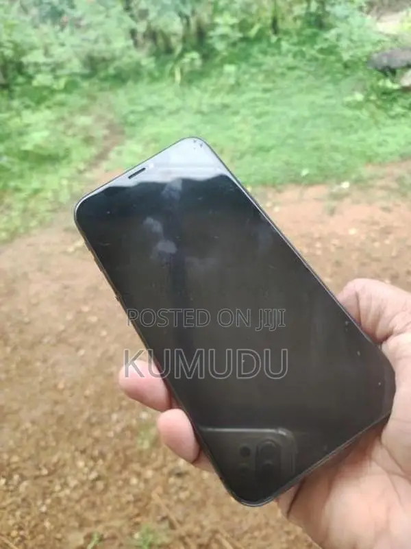 Apple iPhone X (Used)