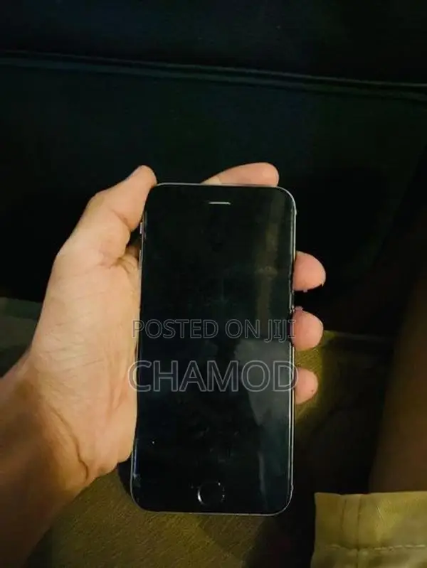 Apple iPhone 6S (Used)