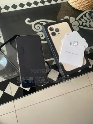 Apple iPhone 13 Pro Max (Used)