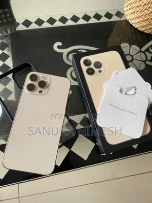 Apple iPhone 13 Pro Max (Used)