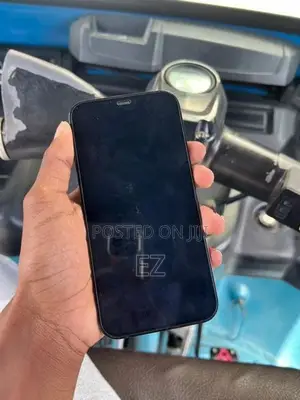 Apple iPhone 12 Pro (Used)