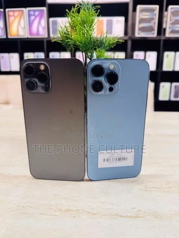 Apple iPhone 13 Pro Max 256GB (Used)