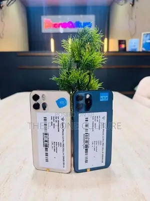 Apple iPhone 12 Pro 256GB (Used)