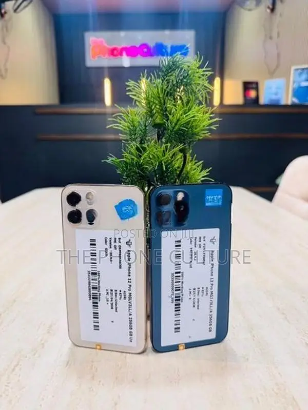 Apple iPhone 12 Pro 256GB (Used)