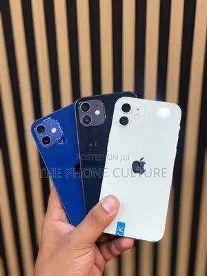 Apple iPhone 12 128GB (Used)