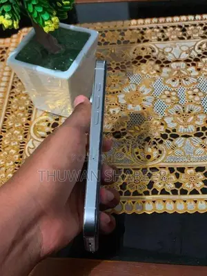 Apple iPhone 16 Pro (Used)