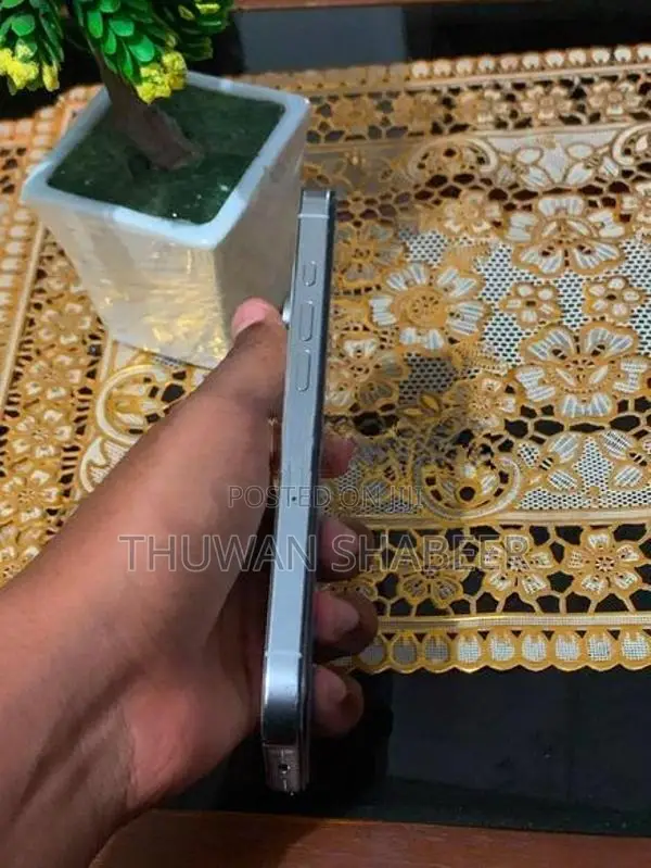 Apple iPhone 16 Pro (Used)