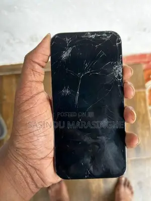 Apple iPhone 12 Pro 256GB (Used)