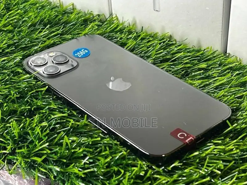 Apple iPhone 12 Pro 256GB (Used)