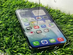 Apple iPhone 12 Pro 256GB (Used)
