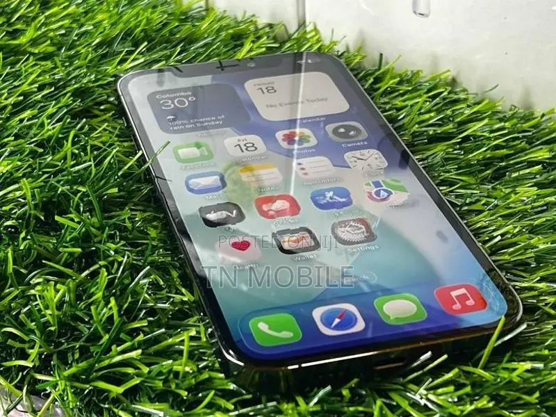 Apple iPhone 12 Pro 256GB (Used)