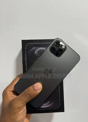 Apple iPhone 12 Pro 256GB (Used)