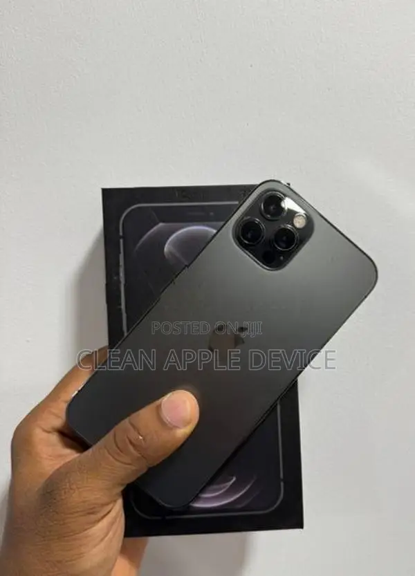 Apple iPhone 12 Pro 256GB (Used)