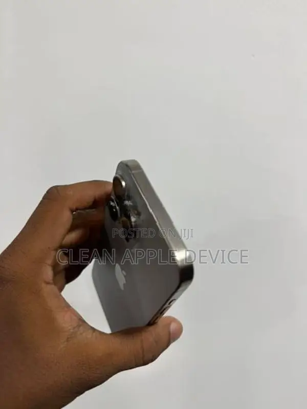 Apple iPhone 15 Pro Max 256GB (Used)
