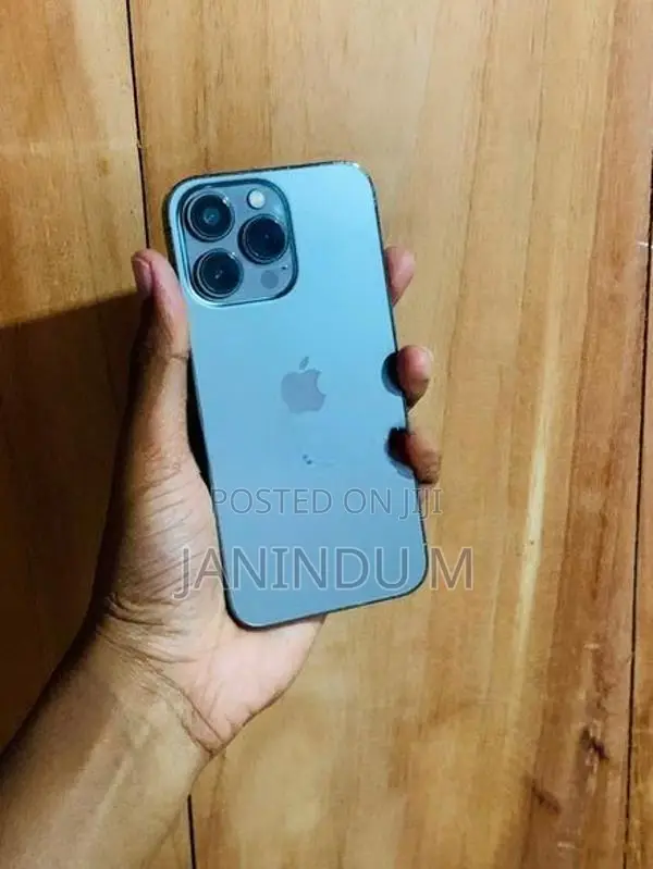 Apple iPhone 13 Pro 256GB (Used)