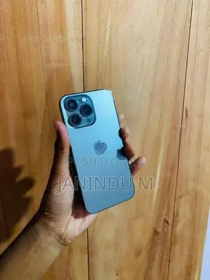 Apple iPhone 13 Pro 256GB (Used)