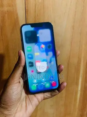 Apple iPhone 13 Pro 256GB (Used)