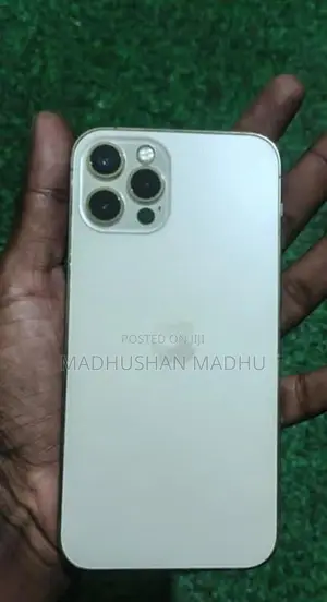 Apple iPhone 12 Pro (Used)