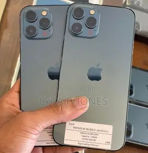 Apple iPhone 12 Pro Max 256GB (Used)