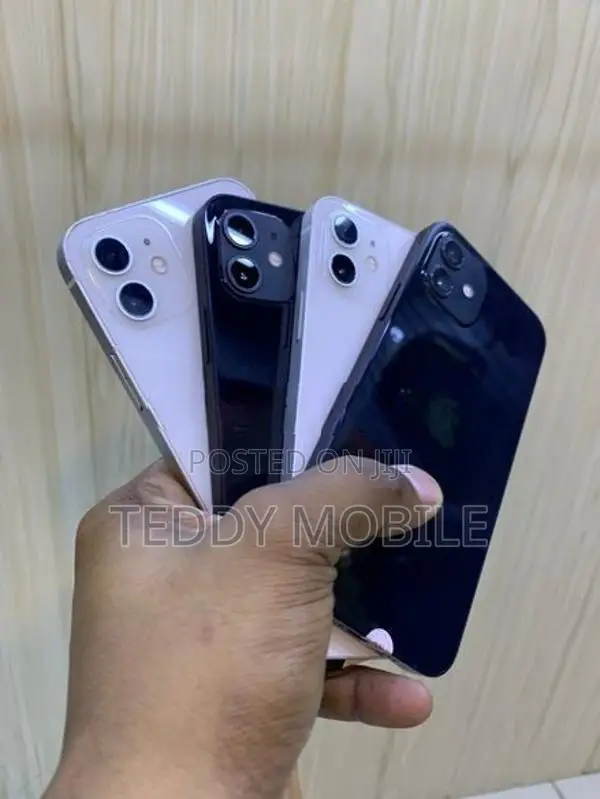 Apple iPhone 12 (Used)