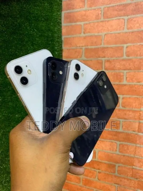 Apple iPhone 12 (Used)