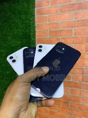 Apple iPhone 12 (Used)