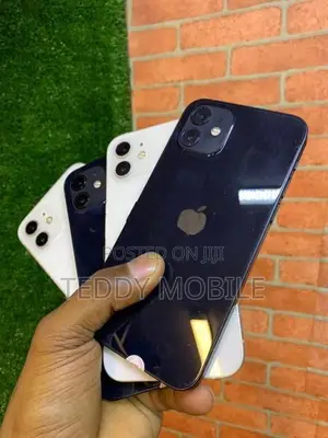 Apple iPhone 12 (Used)