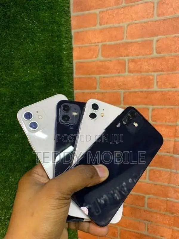 Apple iPhone 12 (Used)