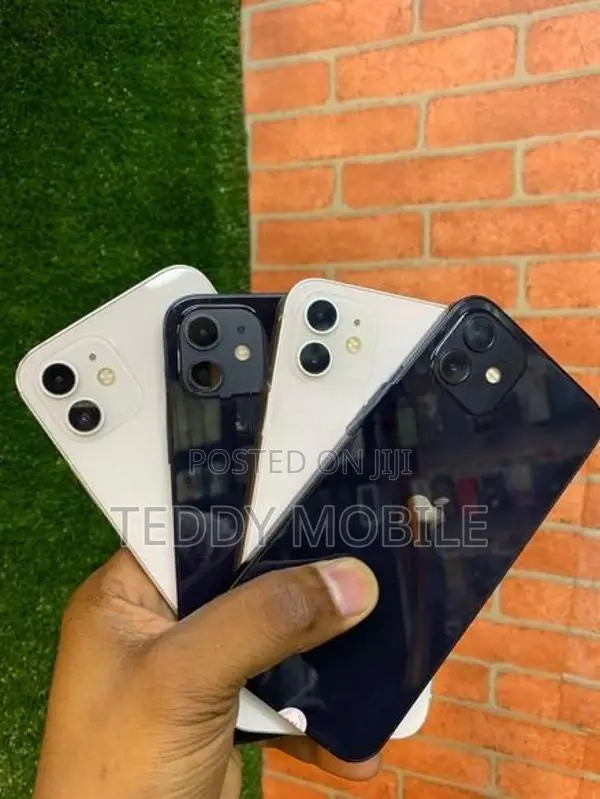 Apple iPhone 12 (Used)