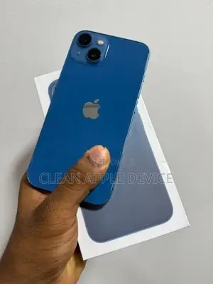 Apple iPhone 13 256GB (Used)