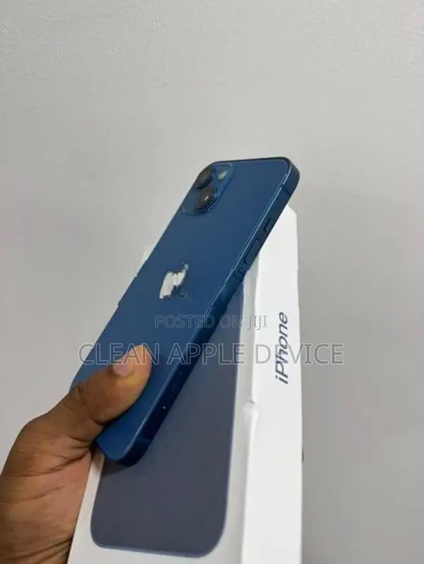 Apple iPhone 13 256GB (Used)