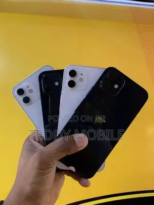 Apple iPhone 12 (Used)