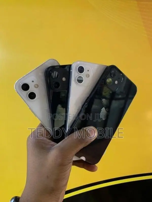 Apple iPhone 12 (Used)