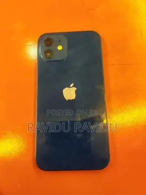 Apple iPhone 12 (Used)