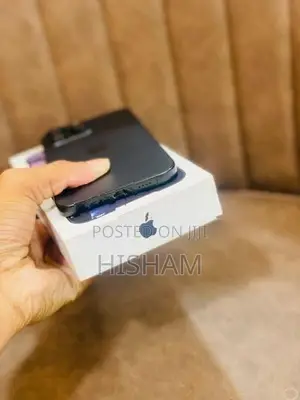 Apple iPhone 16 Pro Max 256GB (Used)