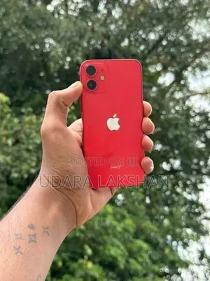 Apple iPhone 12 mini (Used)
