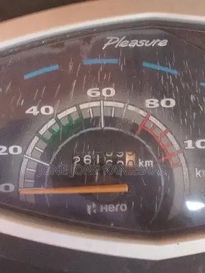 Hero Pleasure 2016