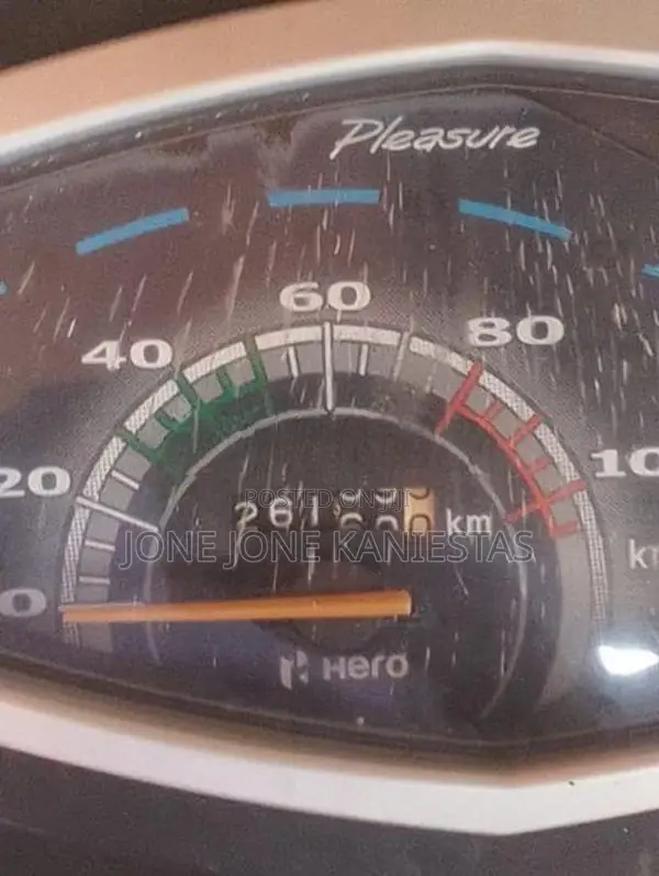 Hero Pleasure 2016