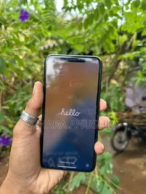 Apple iPhone 11 Pro Max (Used)