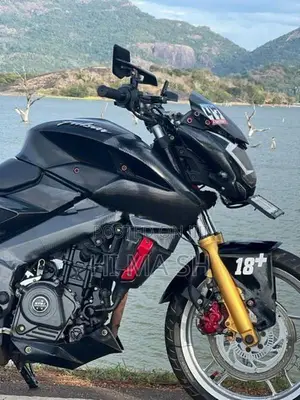 Bajaj Pulsar NS200 2019