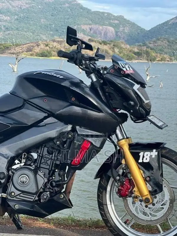 Bajaj Pulsar NS200 2019