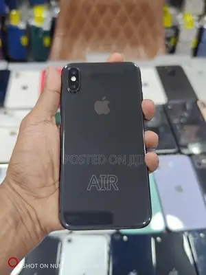 Apple iPhone X 256GB (Used)